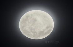 светильник потолочный Trio Lunar, белый, 40 см, LED (627514000)