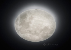 светильник потолочный Trio Lunar, белый, 60 см, LED (627516000)