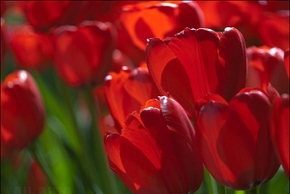 Керамис график работы