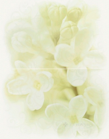 Панно Cersanit Andrea 50x40 цветок (02006)