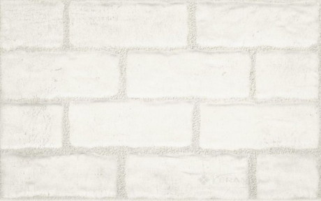 Плитка Classica Paradyz Muro 25x40 bianco struktura