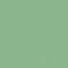 плитка Paradyz Gamma 19,8x19,8 zielona B глянець