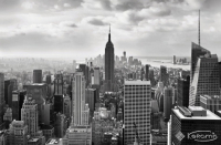 фотошпалери Komar Marvel (8-323)