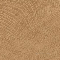 плитка Emil Ceramica 10x10 enje wci walnut (ENJE)