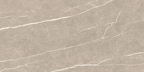 Плитка Tau Ceramica Elite 60x120 greige matt rec