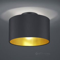 светильник потолочный Trio Hostel, черный матовый, 2 лампы (608200279)
