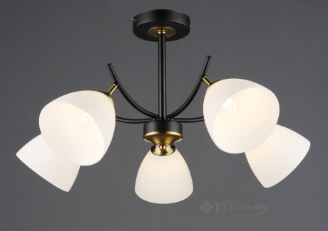 Світильник стельовий Valeso N6602/5 (SP000045869)