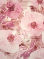 панно Cersanit Elisabeta 45x60 цветок