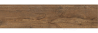 ступень Cerrad Guardian Wood 120,2x29,7 honey