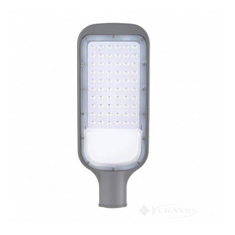 Світильник для ліхтарного стовпа Eurolamp 100W 5500K, сірий (LED-SLL-100w(SMD))