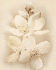 панно Cersanit Diano 50x40 цветок (02033)