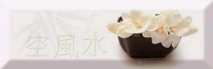 Декор Absolut Keramika Monocolor Japan Tea 04 A 10x30