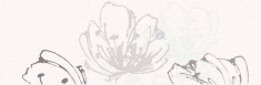 декор Paradyz Midian inserto Kwiat 20x60 bianco