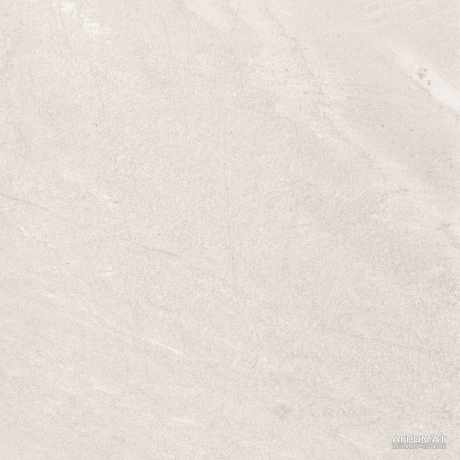 Плитка Baldocer Nature 60x60 ash rect