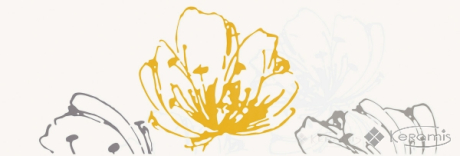 Декор Paradyz Midian inserto Kwiat 20x60 giallo