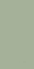плитка Paradyz Feelings 29,8X59,8 green rect