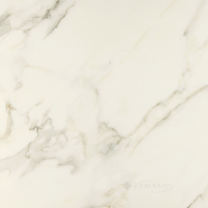 плитка Kutahya Calacatta 60x60 marble polish rect (55013048RN)