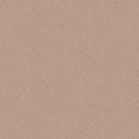 плитка Cerrad Monolight Exterior 59,7x59,7 Mocca (Mx06) rect.