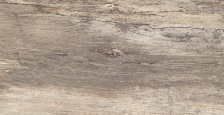 Плитка Emil Ceramica Petrified Tree 45х90 beige bark (944D1R)