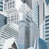 обои Decoprint Essentials (EE22555)