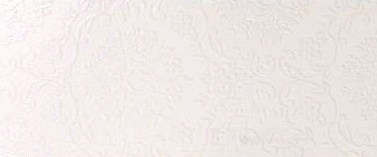 Плитка Dual Gres Irina 22,5x60 blanco