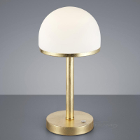 настольная лампа Trio Berlin, золотой, белый, LED (527590179)