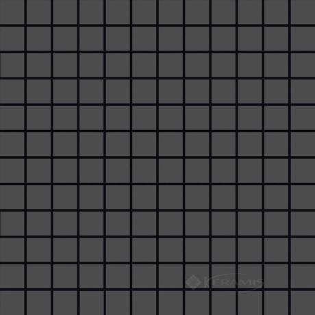 Мозаика Ragno Tempera Antracite 30x30 black (R70U)
