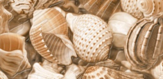 декор Golden Tile Sea Breeze Shells 2 30x60 бежевий