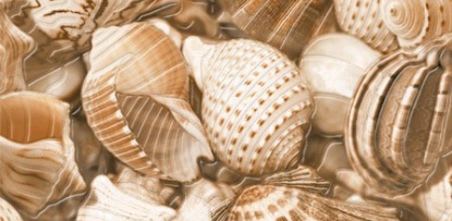 Декор Golden Tile Sea Breeze Shells 2 30x60 бежевый