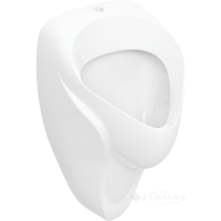 уринал Geberit Alex подвесной, подвод воды сверху, скрытый отвод, белый (502.905.00.1)