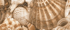 декор Golden Tile Sea Breeze Shells 3 30x60 бежевий
