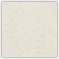 плитка Paradyz Moondust(Macroside) 59,8x59,8 bianco rect polpoler