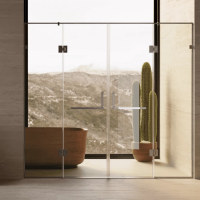 душевая дверь Weston 2200 мм, стекло прозрачное, фурнитура: нерж. полированная polish, ручка держатель WD5 (W096)