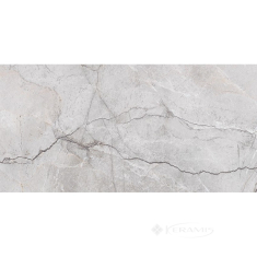 плитка Opoczno Stone Hills 29,8x59,8 grey glossy rect
