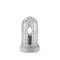 настольная лампа Trio Birte, серый, прозрачный (503800161)