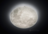 світильник стельовий Trio Lunar, білий, 60 см, LED (627516000)