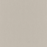 шпалери Rasch Kerala grey (501179)