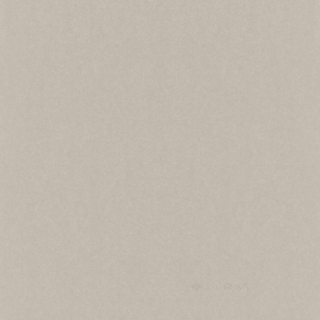 Шпалери Rasch Kerala grey (501179)