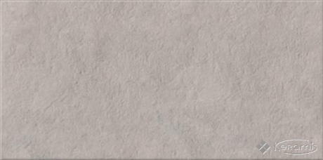 Плитка Opoczno Драй Рівер 29,55x59,4 світло-сірий