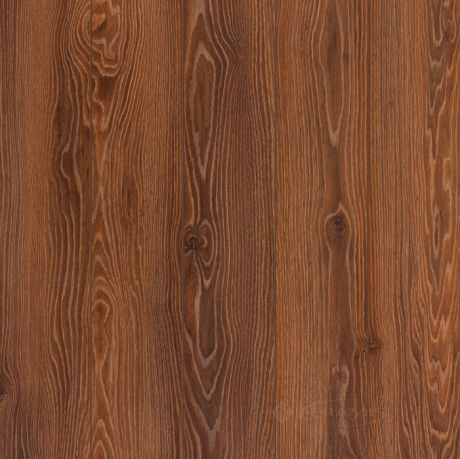 Ламинат Classen Expert 4V 33/8 мм дуб ибица (37020)