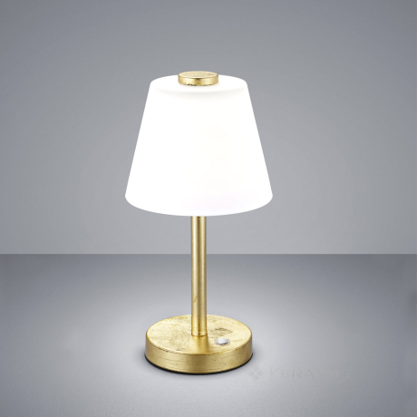 Настільна лампа Trio Emerald, золото, білий, LED (525490179)
