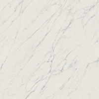 плитка My Way Paradyz Elite 120x120 white, mat, rekt.