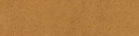 Фасадна плитка Paradyz Aquarius 24,5x6,5 Brown