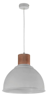 подвесной светильник Exo Lirica, серый (GN 844A-G05X1A-03)