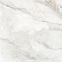 плитка Geotiles Sauvage 120x120 pearl natural rect