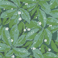 обои Casadeco Five O'clock Greenery (85797156)