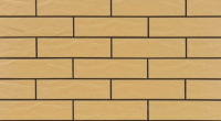 фасадна плитка Cerrad Piaskowa 24,5x6,5 рустикальна