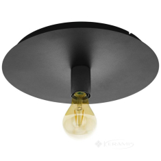 светильник потолочный Eglo Passano 1x60W черный (98155)
