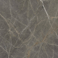 плитка Golden Tile Stone Roots 60x60 коричневый, рект.(SO7520)