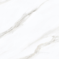 плитка Ceramica Deseo Vanity 60x60 silver